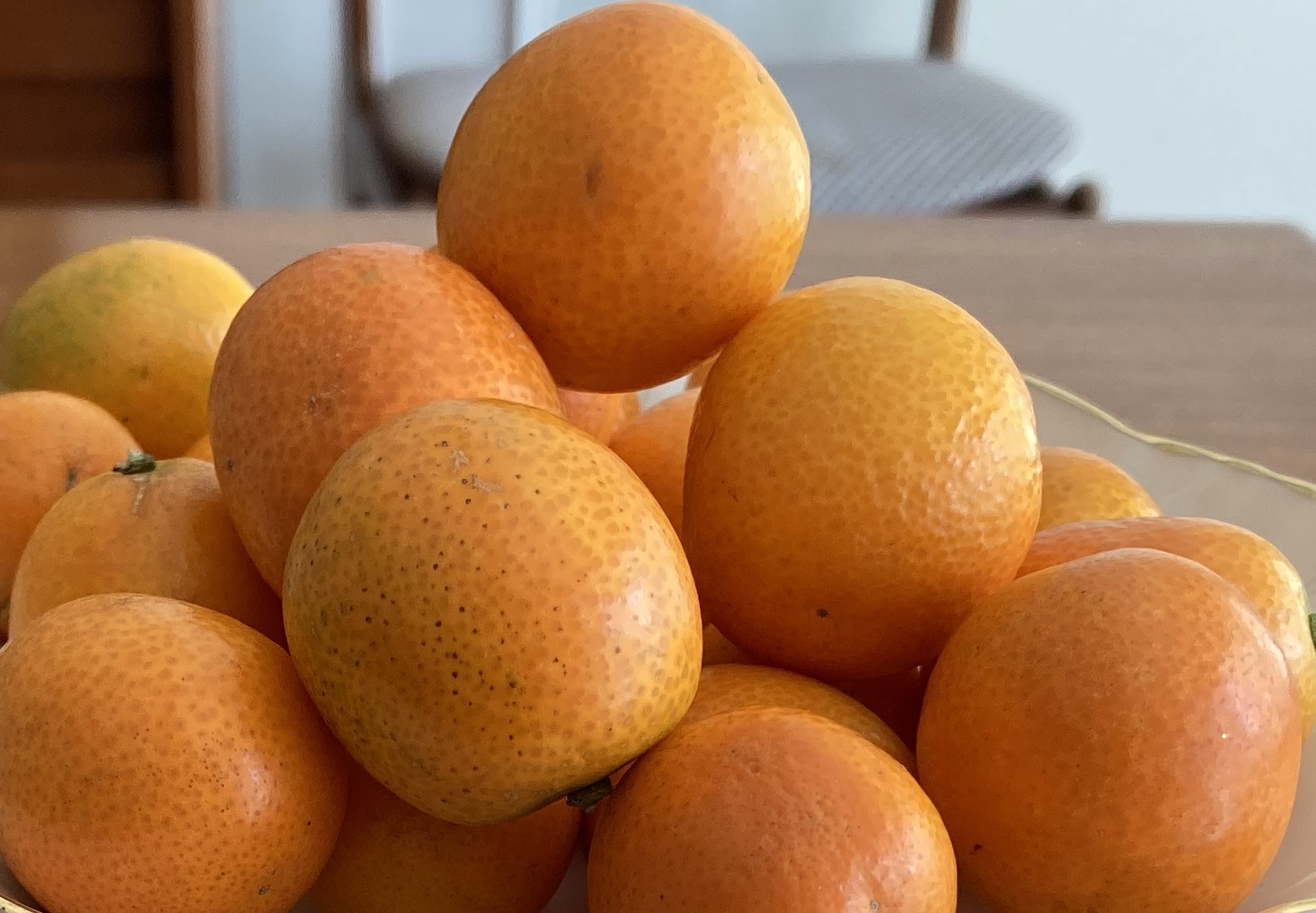 kumquats