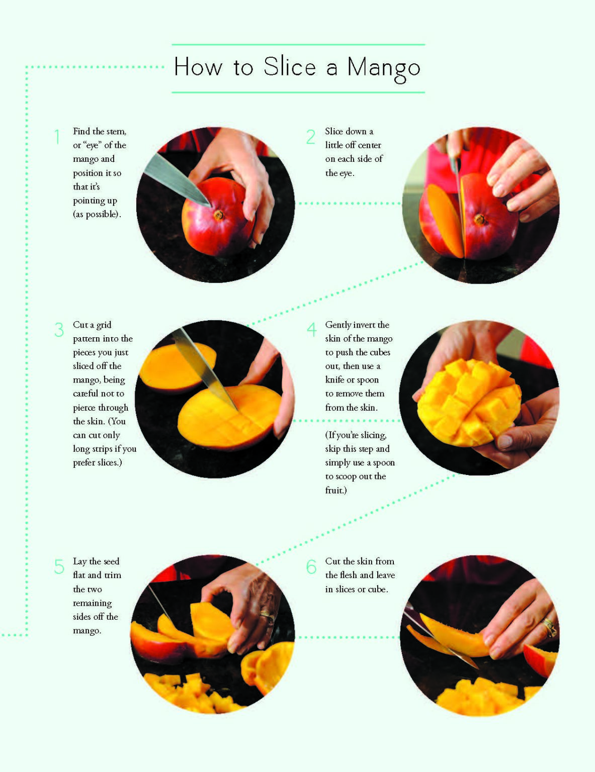 How To Slice A Mango Edible Tampa Bay