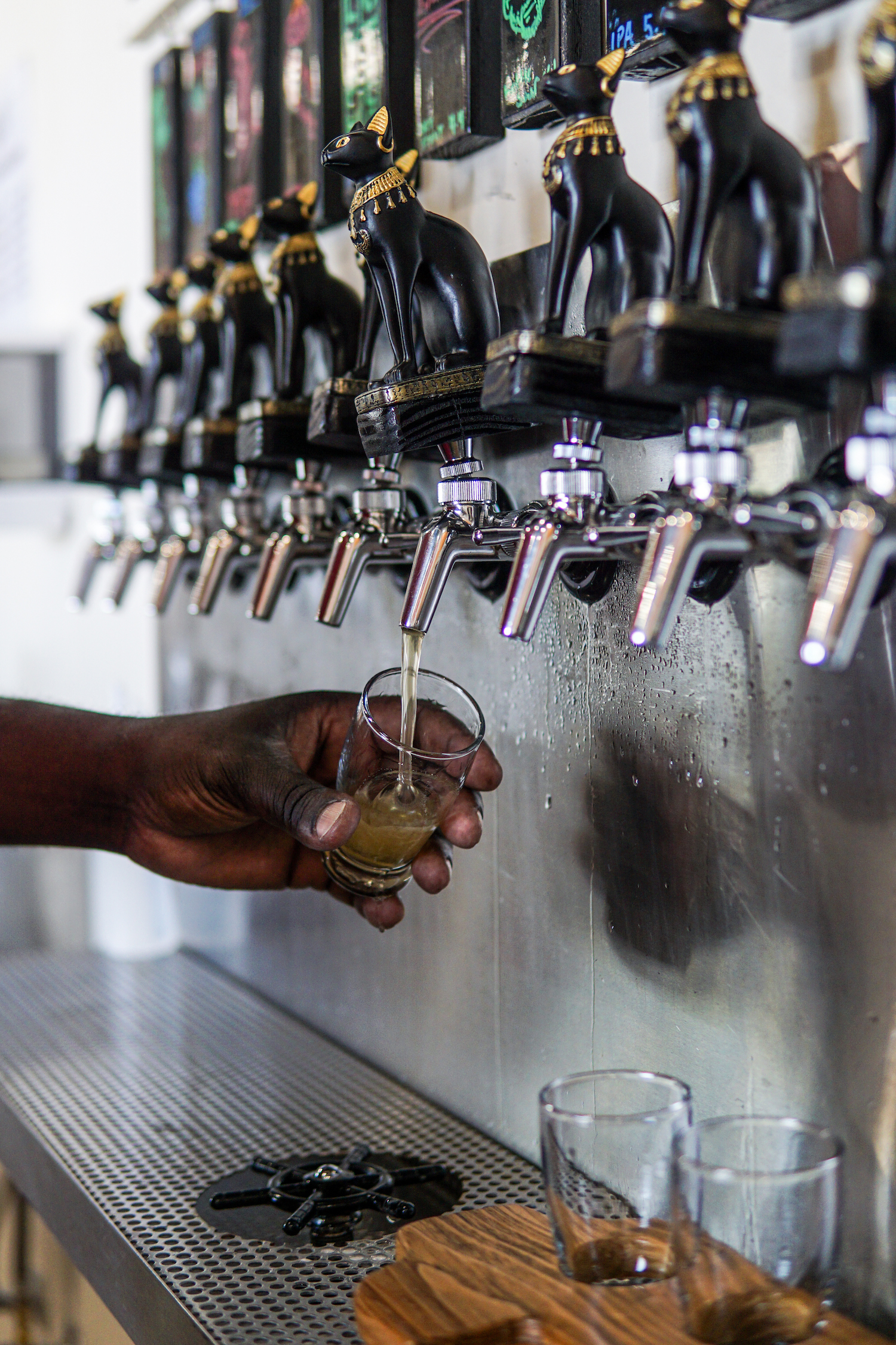 Tampa Beer Week Celebrates 10 Years